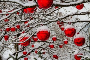 Red baubles covered in snow on tree branches