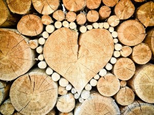 Logs with heart in centre