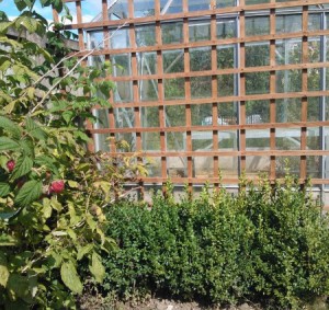 Trellis garden fencing