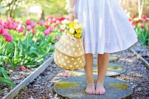 Barefoot woman with basket of daffodils in spring