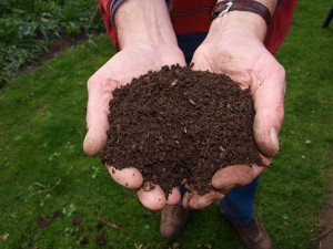 Handful of garden compost