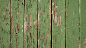 Peeling green wooden fence panels