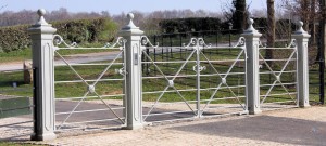 Silver metal gate