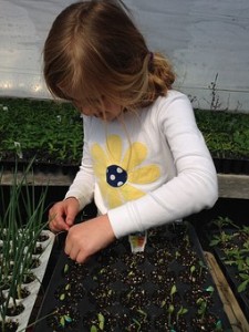 child planting seeds and cuttings
