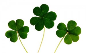 Three shamrock leaves