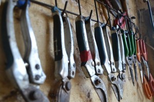 Garden secateurs and pliers hanging on hooks