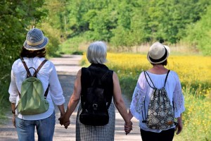 Back profile of three women holding hands