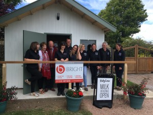 People laughing outside shed