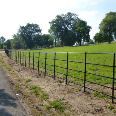 Metal Fencing