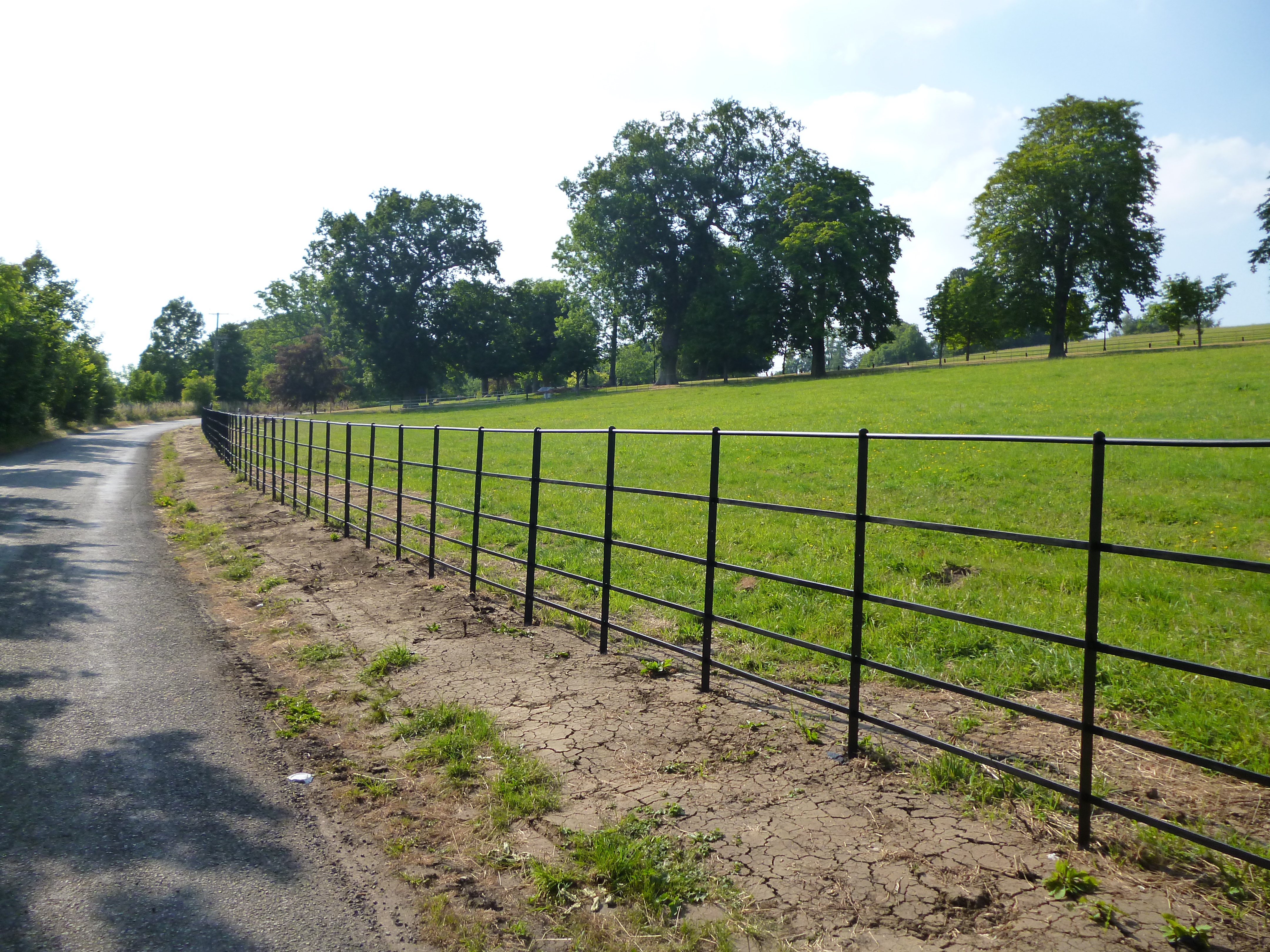 Metal Fencing