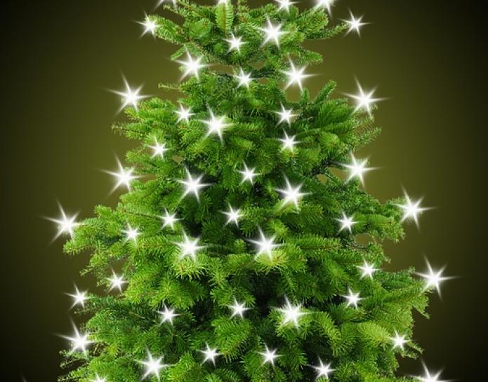 Christmas tree with lights