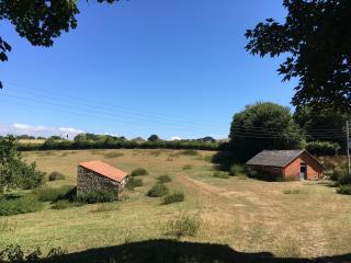 Walditch field and outbuildings in summer