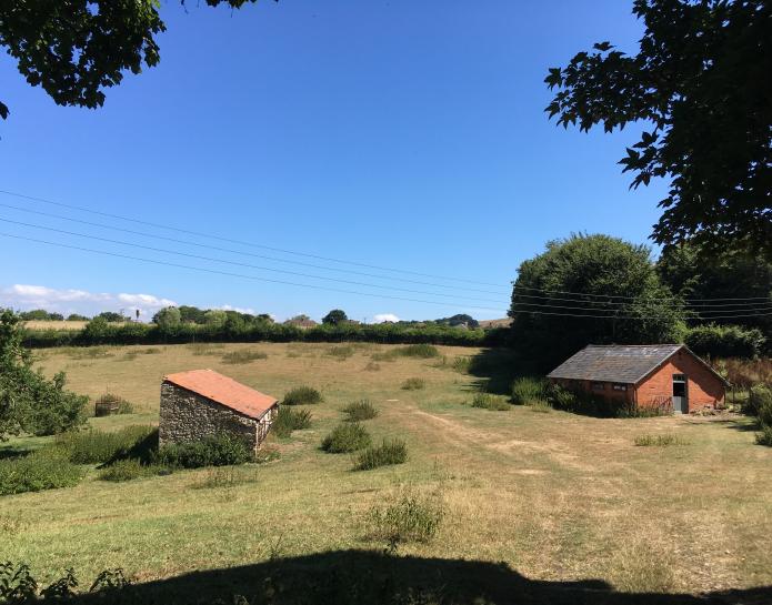 Walditch field and outbuildings in summer