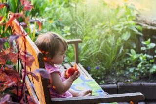 Child eating peach on garden bench