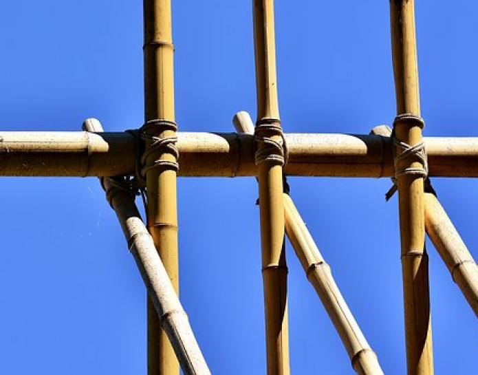 Garden bamboo canes tied together