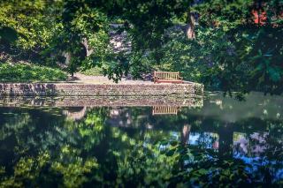Bench by lake