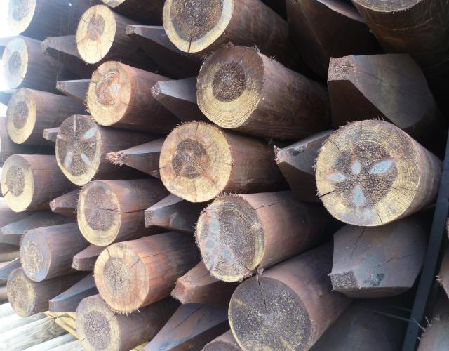 Creosoted fencing stakes. Agricultural fencing.