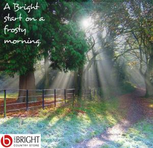 A Bright start on a frosty morning.