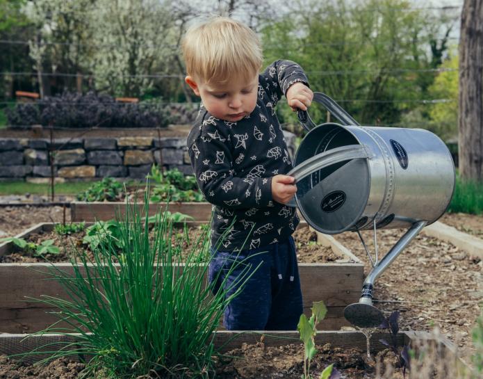 Child watering Vegetable garden