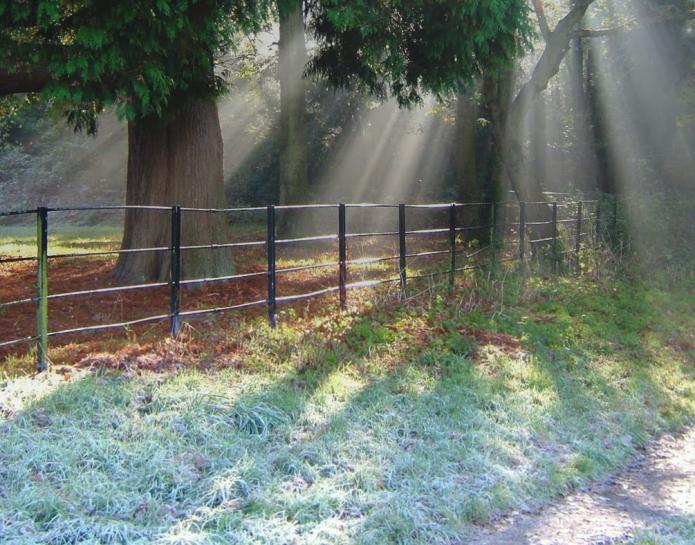 A Bright Start on a Frosty Winter Morning