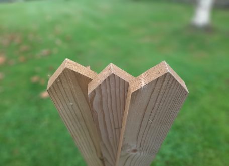 Palisade Pale Pointed