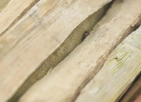 Chestnut Halves And Quarters