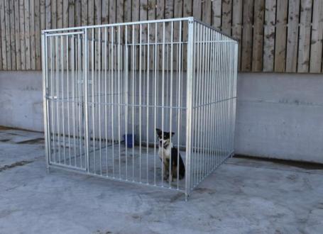 Galvanised Dog Runs
