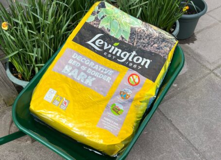 Levington Decorative Bed & Border Bark