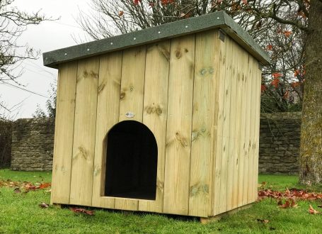 Dog Kennel