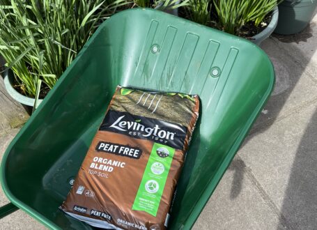 Levington Peat Free Top Soil