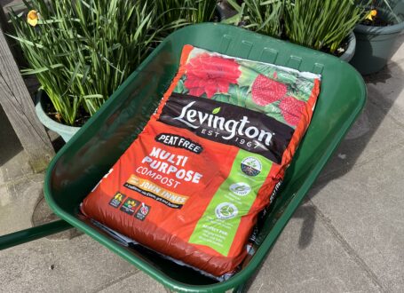 Levington Peat Free Compost with John Innes