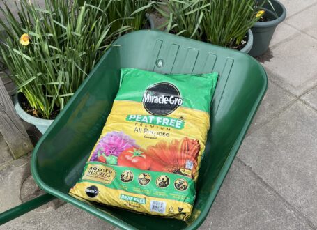 Miracle-Gro Multi Purpose Peat Free Compost main product image