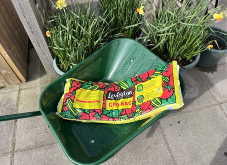 Levington Peat Free Gro-Bag to grow vegetables and crops