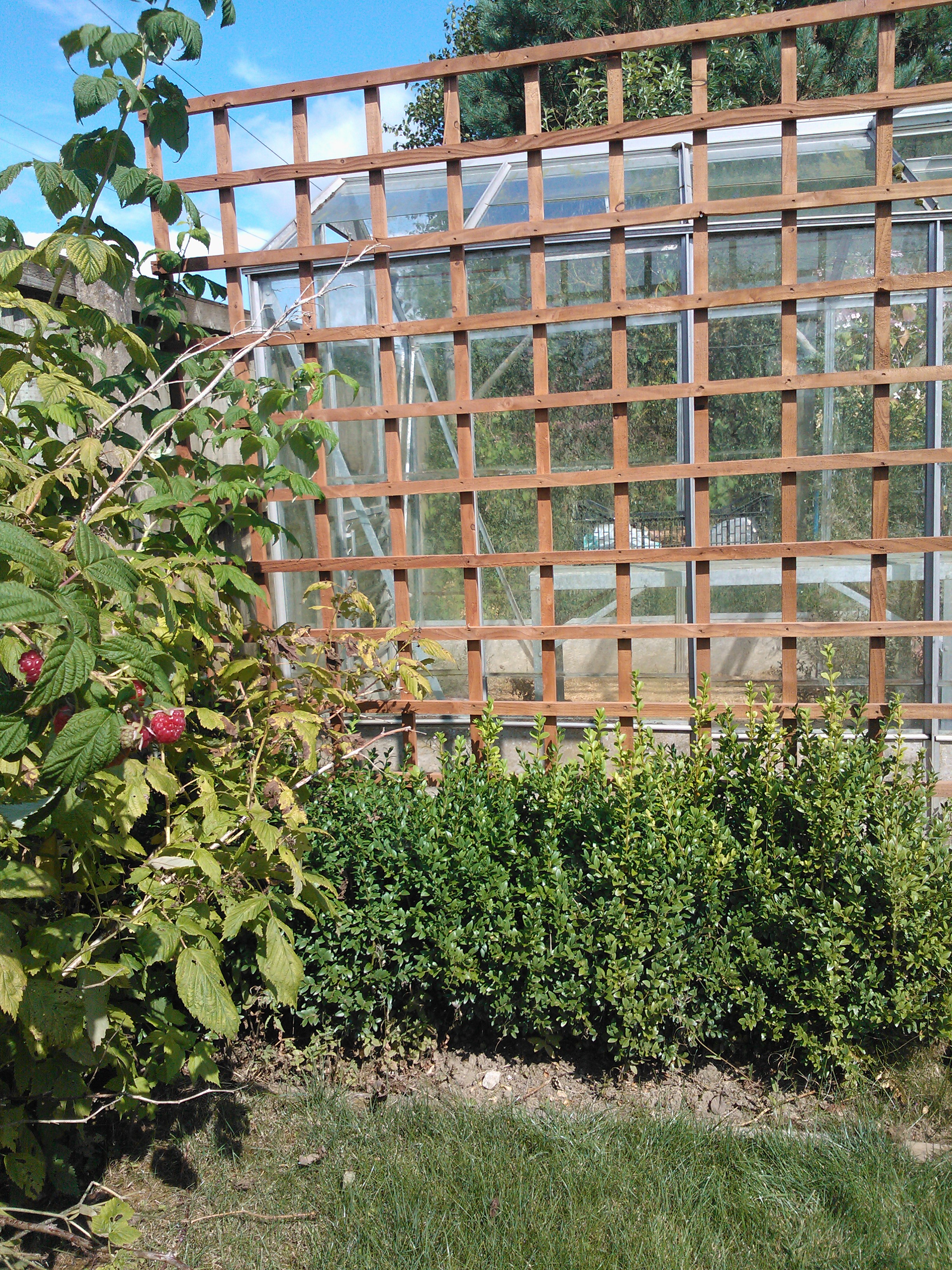 Large Square Trellis Fence Panels