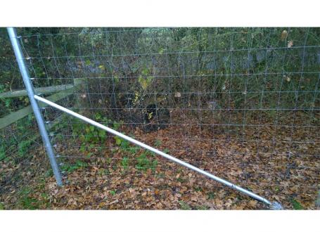 Clipex Deer Strainer Post