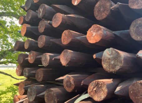 creosoted fencing stakes