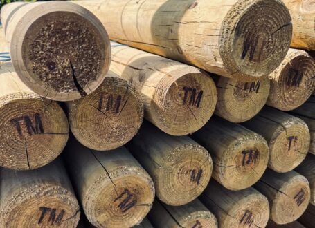 Tanalised Fencing Stakes bottom