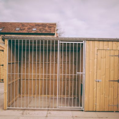 Dog Kennels & Runs