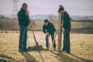 Fencing. Installing fence posts.
