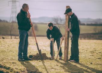 Fencing. Installing fence posts.