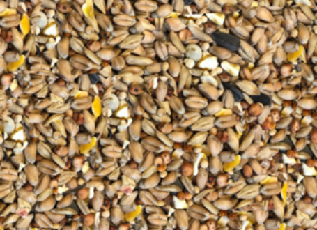 Wild Bird Seed 20kg