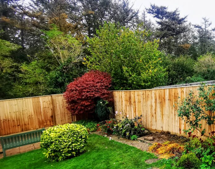 Featheredge fencing