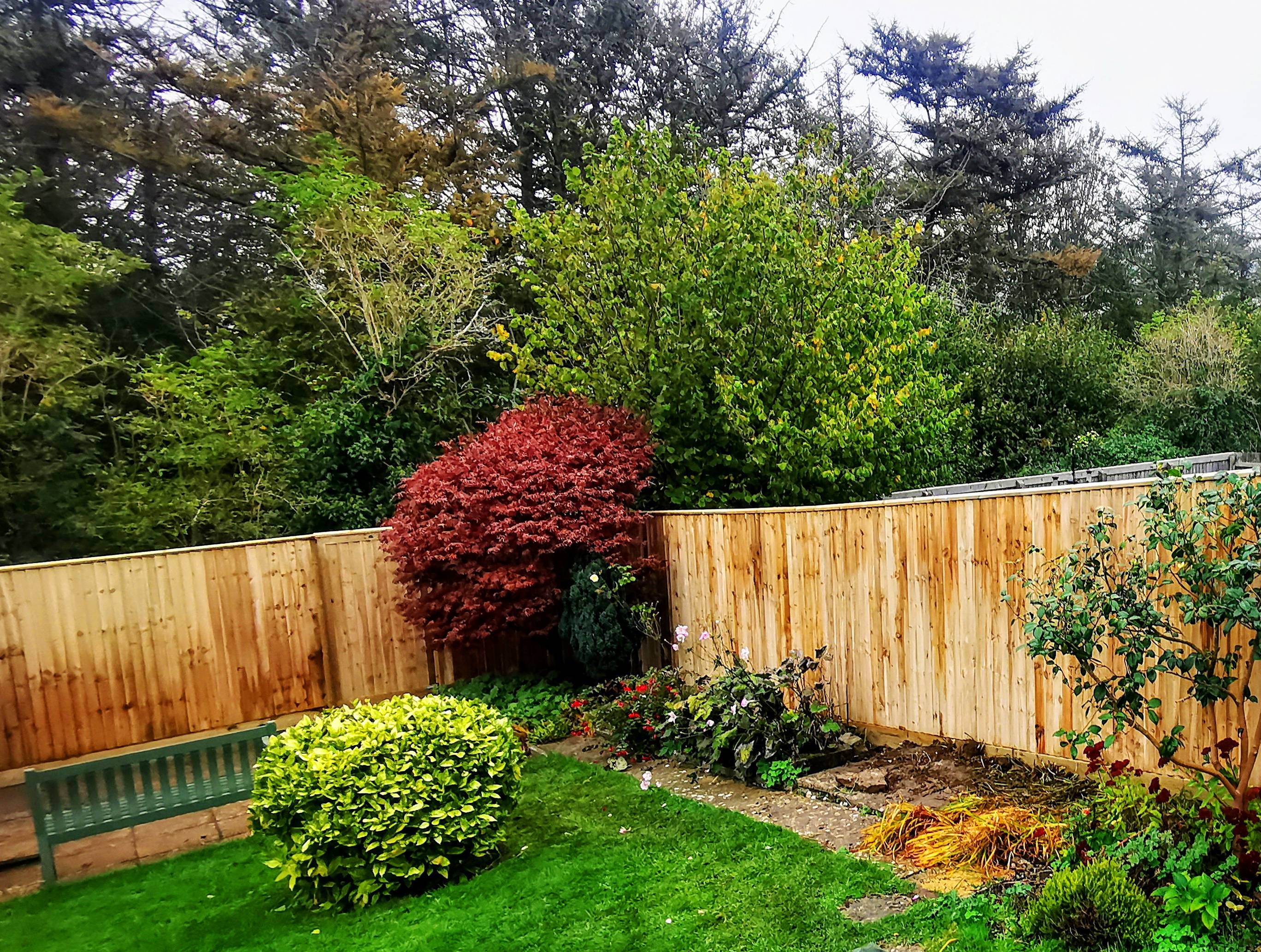 Featheredge fencing