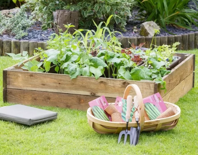 5 Ways to Create a Family Garden for Summer