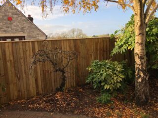 Garden Fencing Weymouth