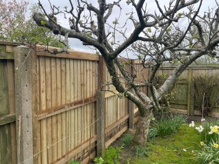 After Featheredge Fencing Yetminster John Bright