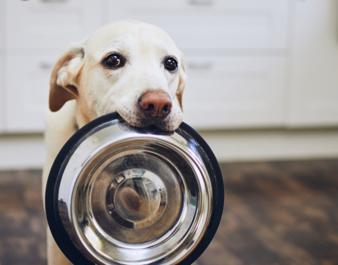 Dog Food Animal Feed at John Bright Fencing