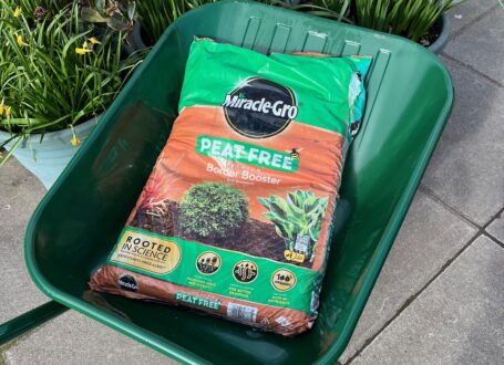 Miracle Gro Peat Free Border Booster